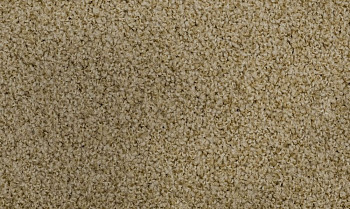 Ковролин Vorwerk Exclusive1009/Elara 8g82 фото 1 | FLOORDEALER